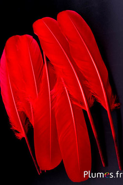 Cygne Soie - 25-30 cm - rouge